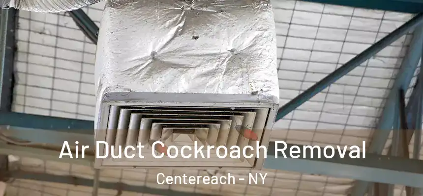  Air Duct Cockroach Removal Centereach - NY