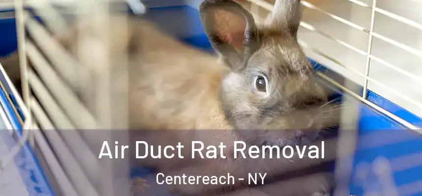  Air Duct Rat Removal Centereach - NY