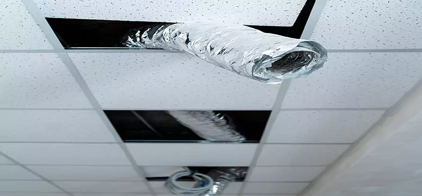 Affordable HVAC Sanitizing After Pest Removal in Centereach