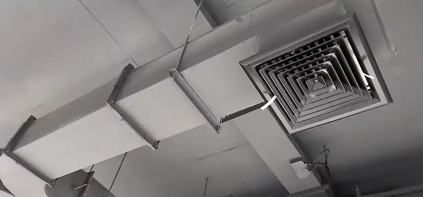 Restorative Allergy Relief Vent Cleaning – Coil, Blower & Housing Detail in Centereach