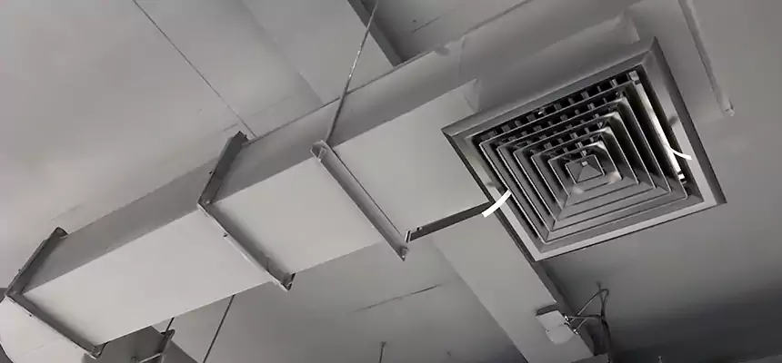 Our Pest Removal From Ducts Services in Centereach, NY