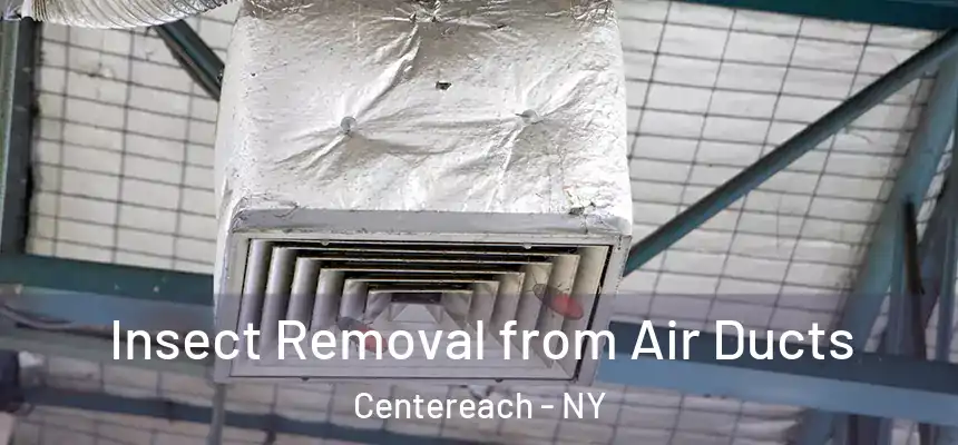  Insect Removal from Air Ducts Centereach - NY