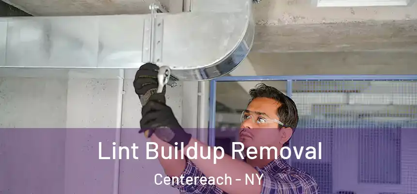  Lint Buildup Removal Centereach - NY