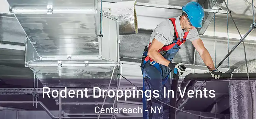  Rodent Droppings In Vents Centereach - NY