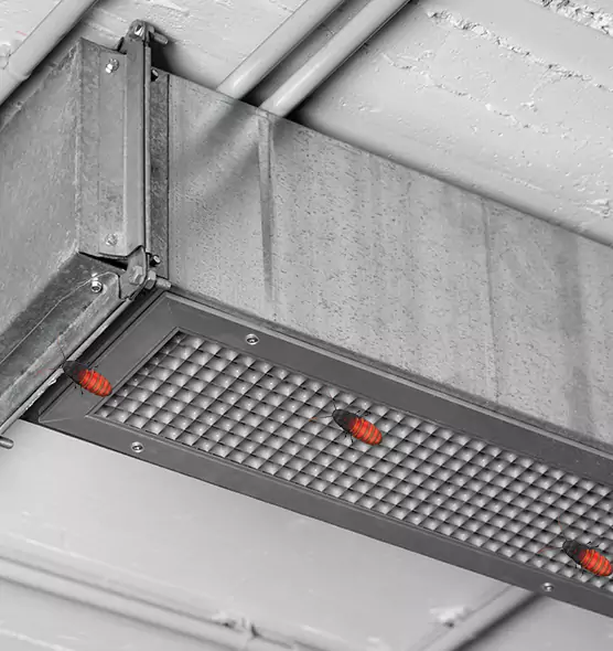 About Air Duct Cockroach Removal in Centereach, NY