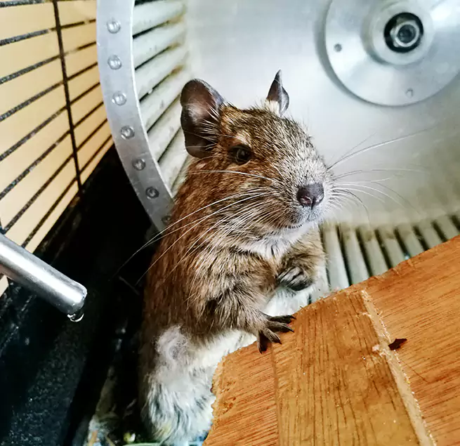 Why Homeowners & Businesses Trust Us Centereach, NY