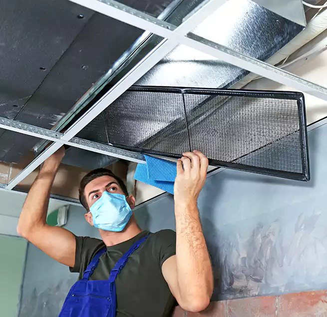 Why Homeowners Businesses Trust Us in Centereach, NY